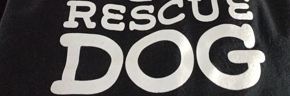 Dixiepro's profile banner image