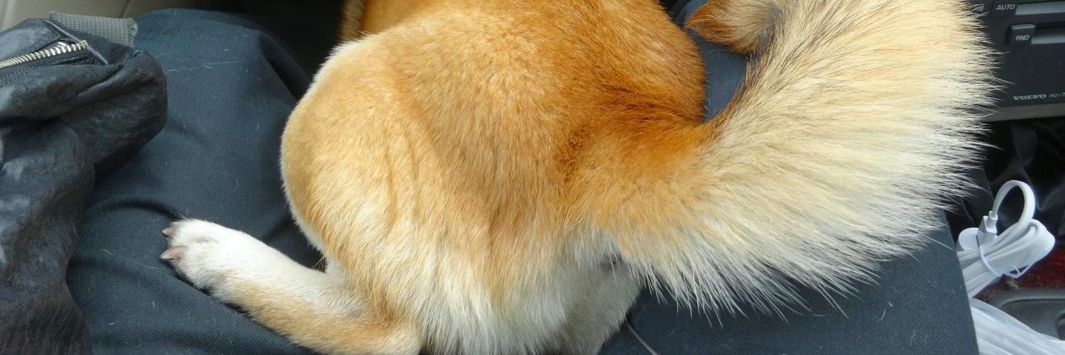 walts123's profile banner image