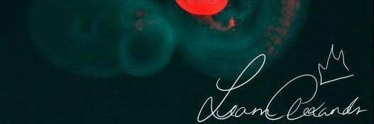 LiamAlxandr's profile banner image