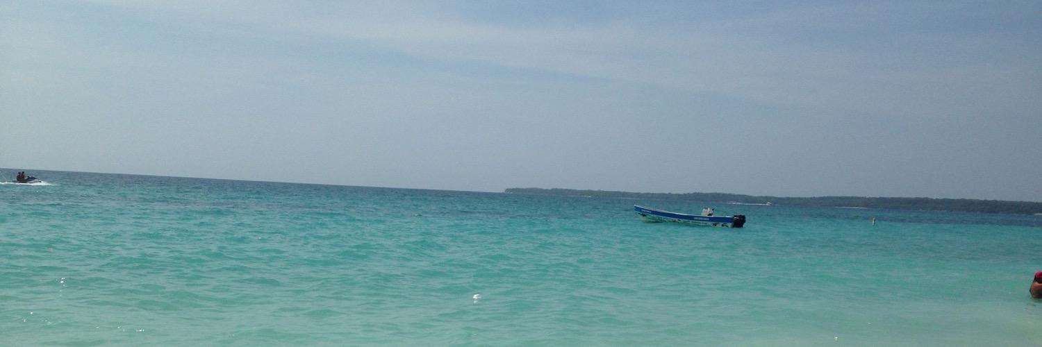 MspCindy's profile banner image