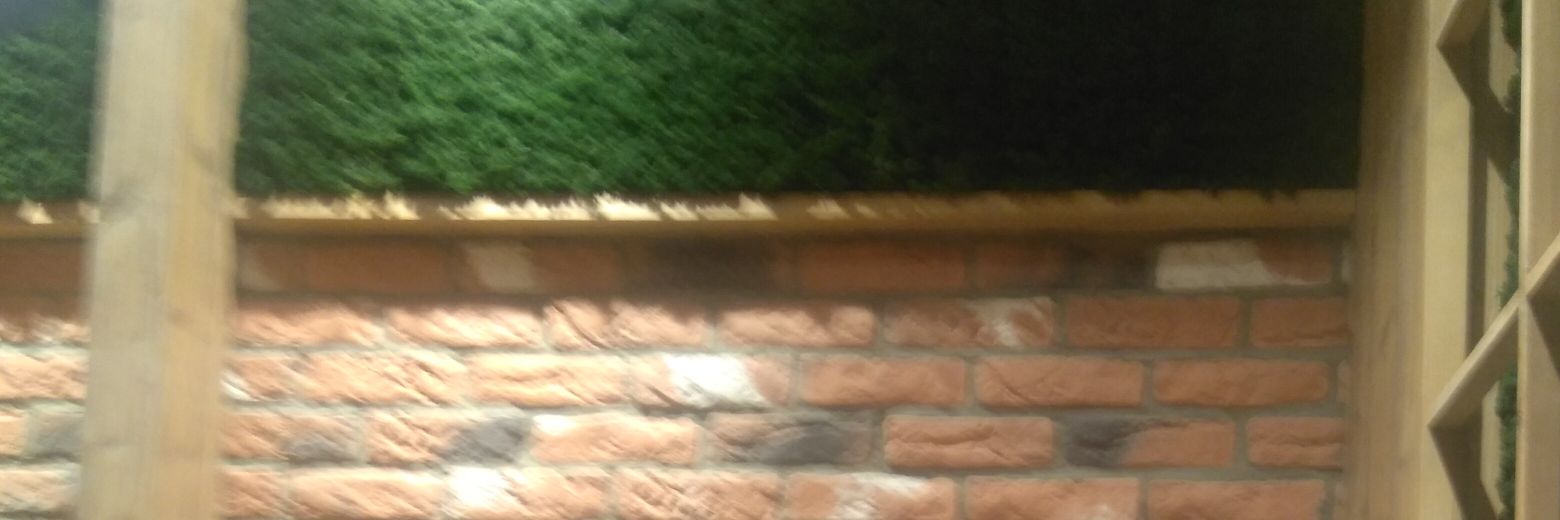 Chomunoda1's profile banner image