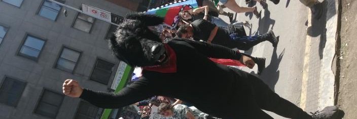 ElMatapaco's profile banner image