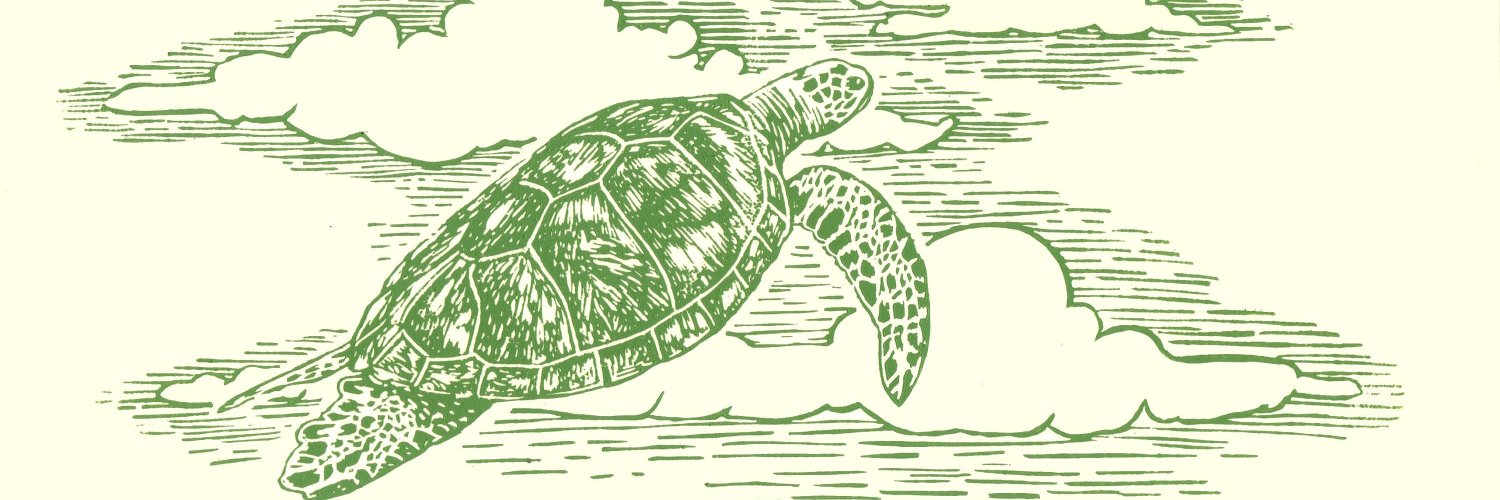 TurtleInDaCloud's profile banner image