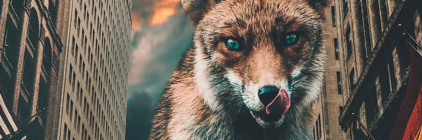 Jeshwe's profile banner image