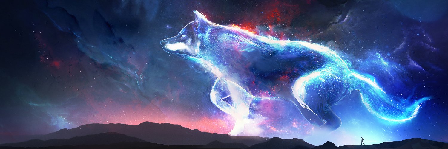 NLoconto's profile banner image
