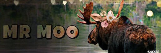 normoosey banner