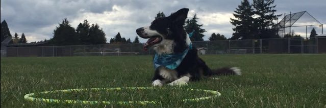 Chancerfaceee24's profile banner image