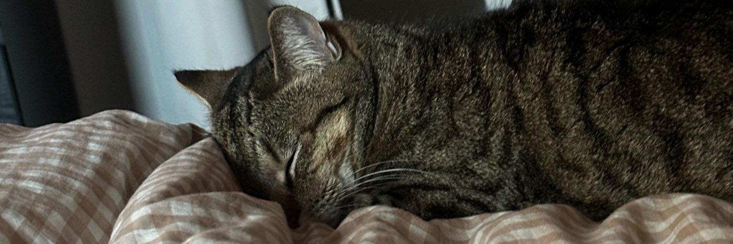 lilprttyting's profile banner image