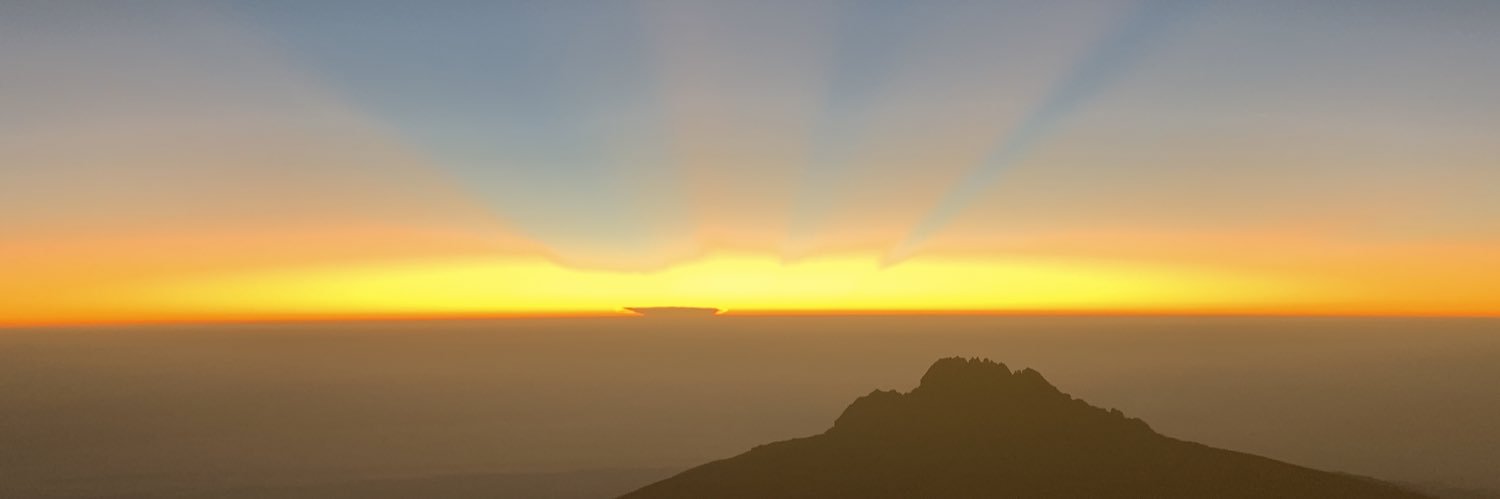 stellarrigby's profile banner image