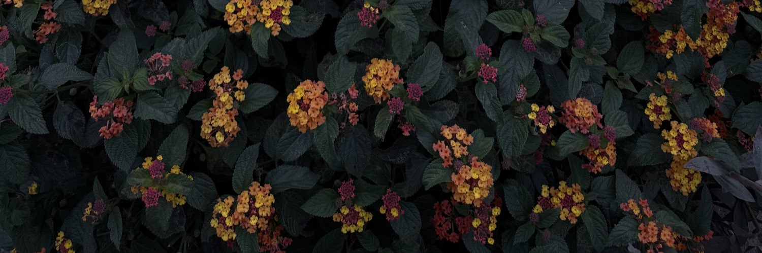 rcasique3's profile banner image