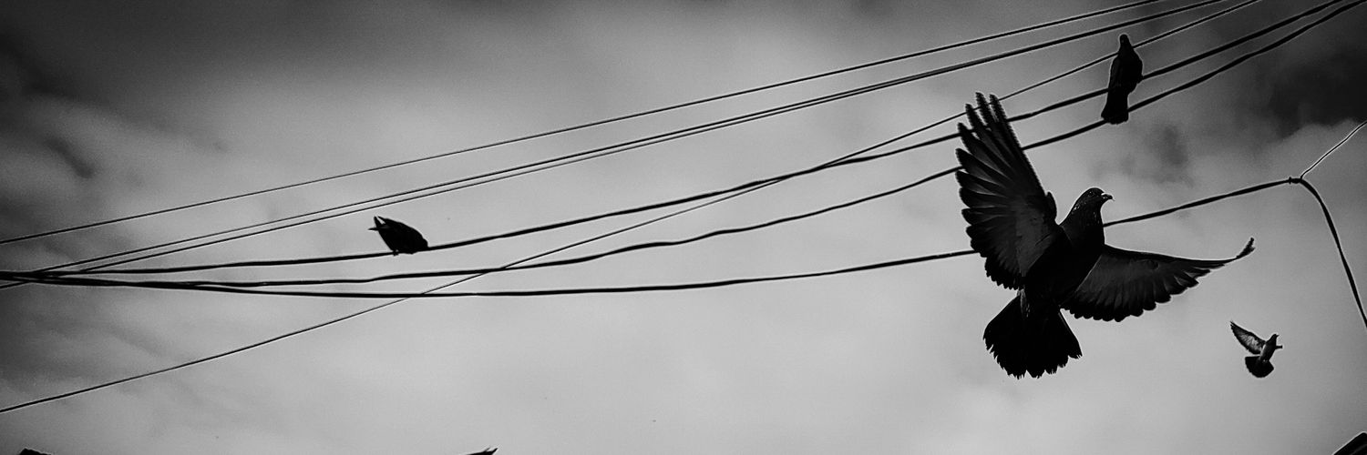 Showkat Nanda banner