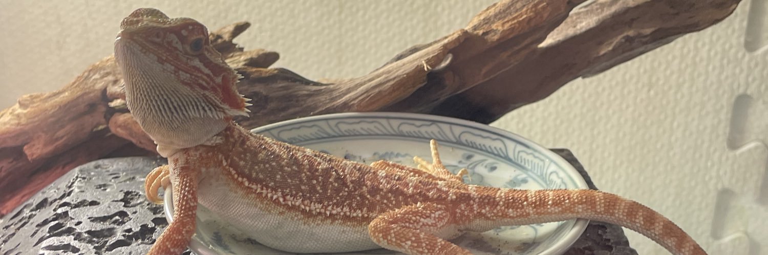 avava1129's profile banner image