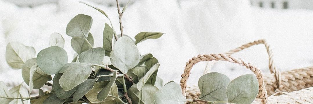 corcorne_pic's profile banner image