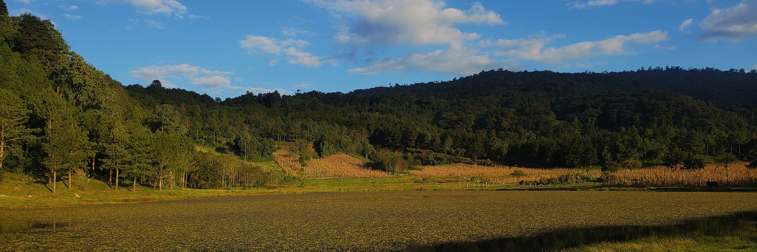 davidrp911's profile banner image
