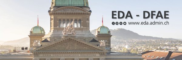 EDA_DFAE Profile Banner