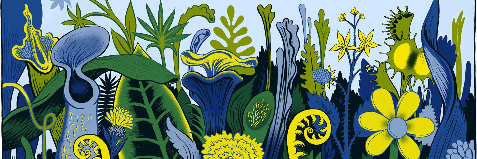 Good Problems Team banner