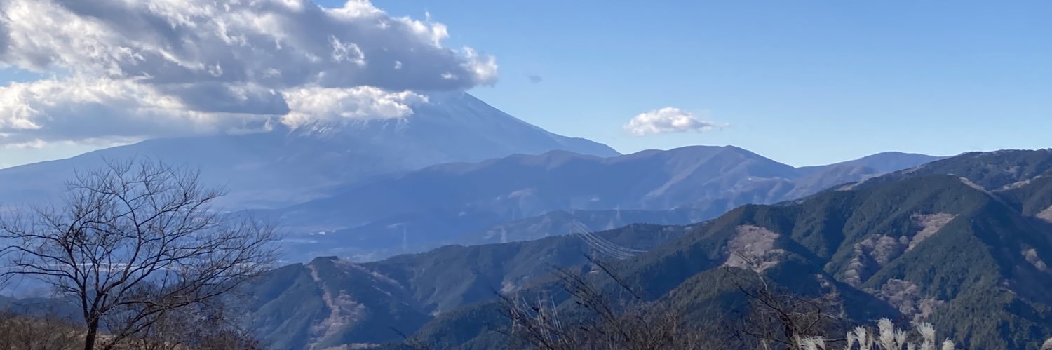 Isabel Reynolds banner