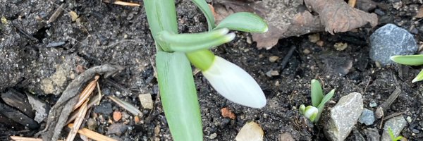 MuireannCait Profile Banner