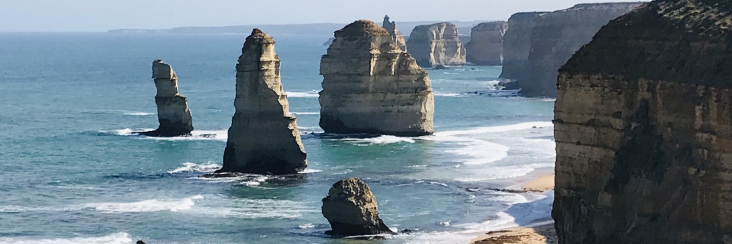 Surinder chauhan banner