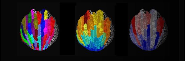 StraussSoe Profile Banner