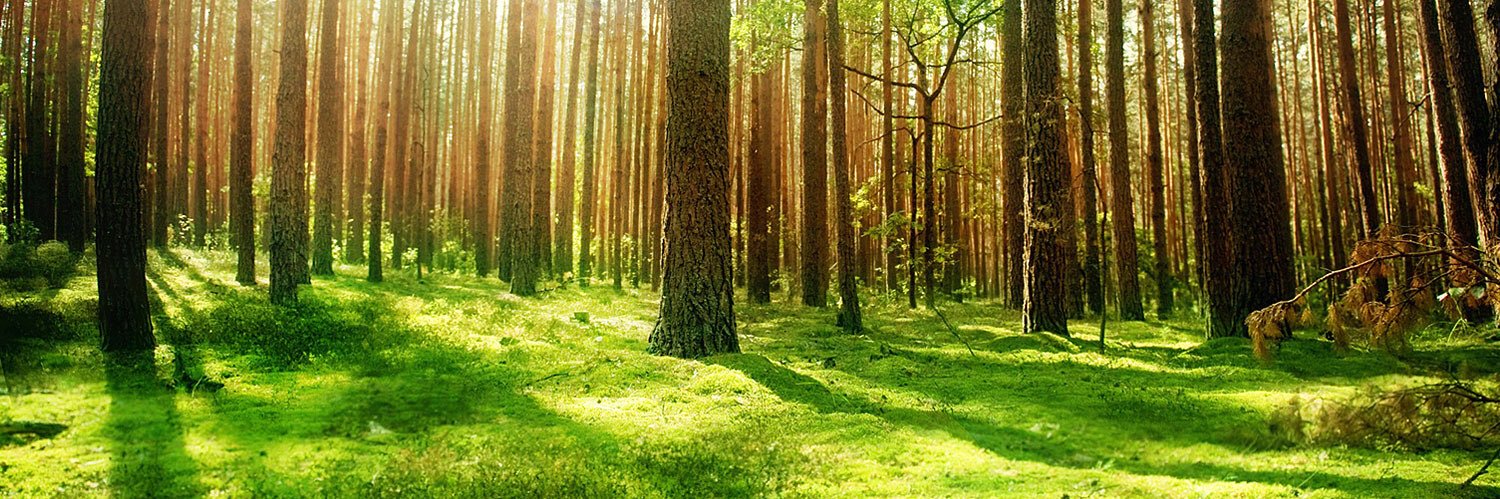 ClimateRevolut1's profile banner image