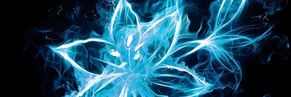 varceeful Profile Banner