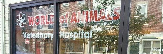 WorldofAnimal2's profile banner image