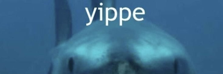 FihDihLihing's profile banner image