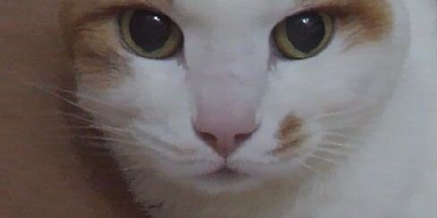 marrycat2001's profile banner image