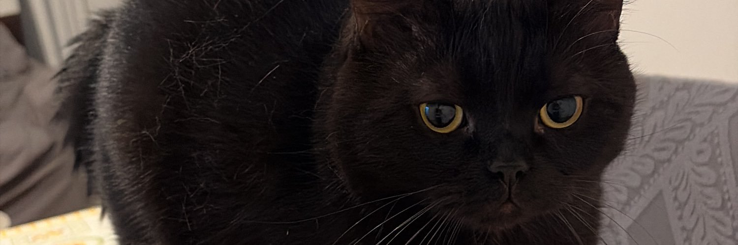 vitinsemc's profile banner image