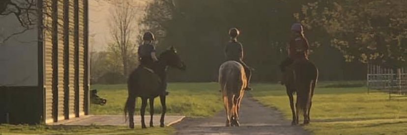 God's Lil Fighter banner