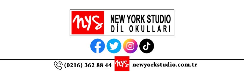 nysoflanguages's profile banner image