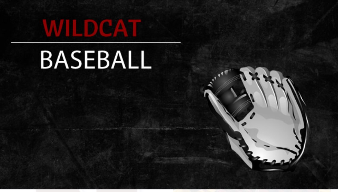 Newark Baseball banner