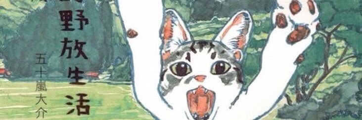 piniko🐋 banner