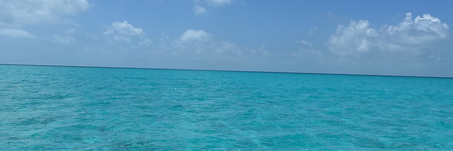 Crypto, Man… banner