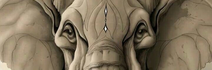 runov_adhitya's profile banner image