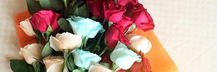 yuanriny's profile banner image