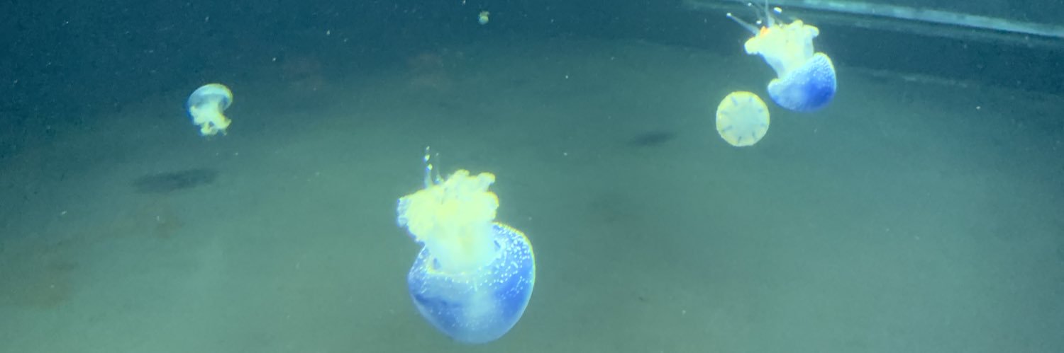 BBBBombbbb's profile banner image