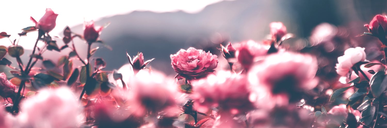 hr_neko1127's profile banner image