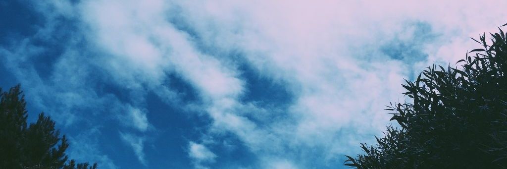 taeftbooks's profile banner image