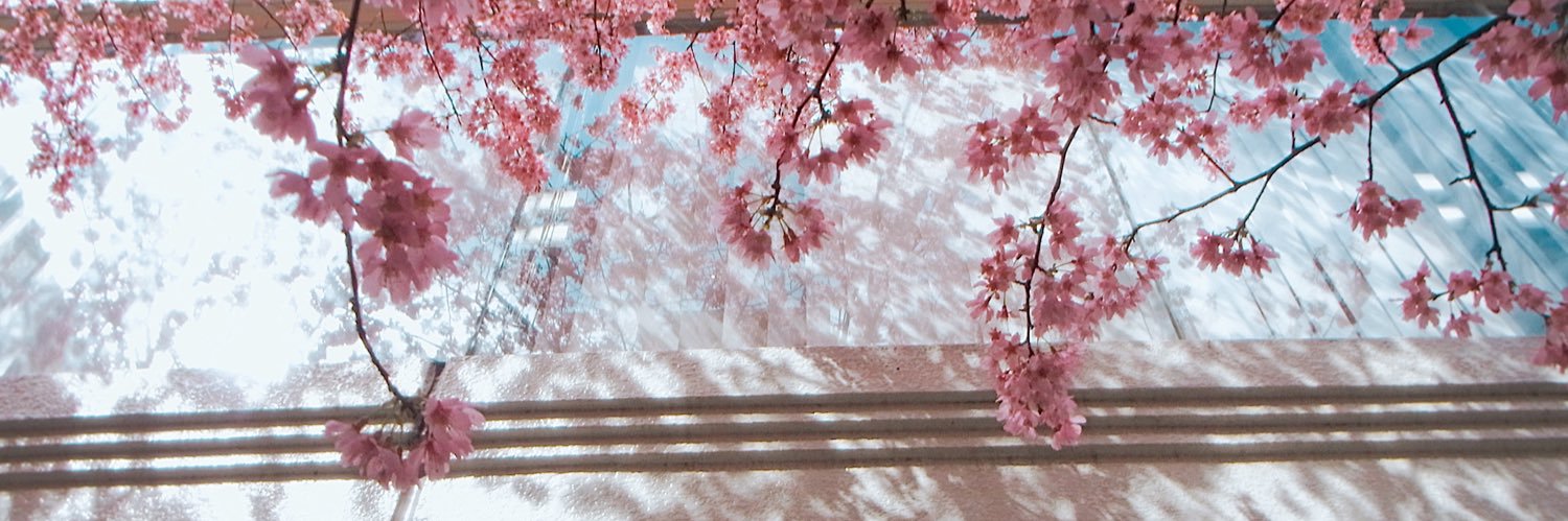 ぼーたろー banner