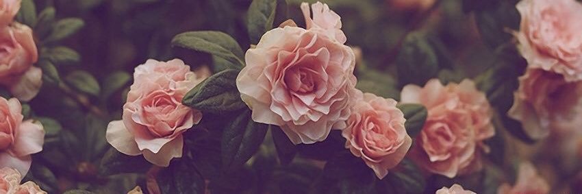 idanyyy__'s profile banner image