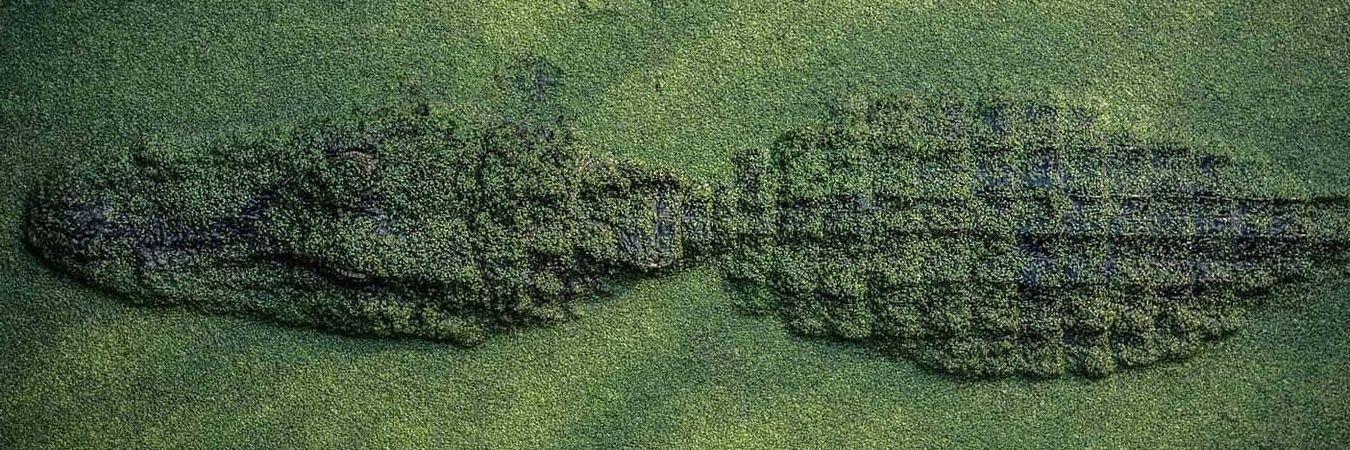 lanjaaron's profile banner image