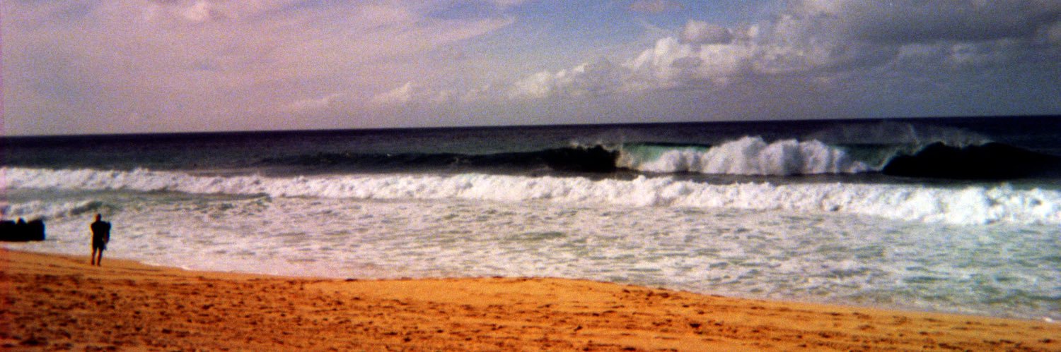 Abby Schlegel banner