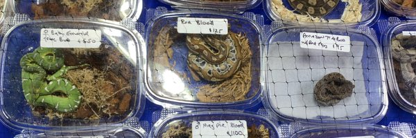 ryanja3 Profile Banner