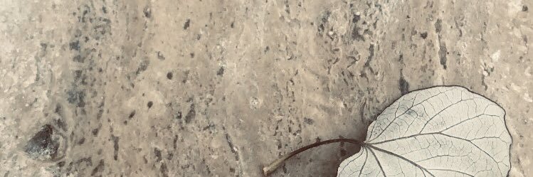 Nad_V's profile banner image