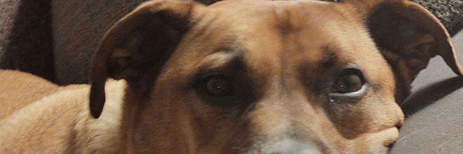 69PettyWAP's profile banner image