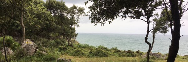 KempKeepnItReal Profile Banner