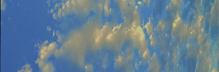 SandersArlyn's profile banner image