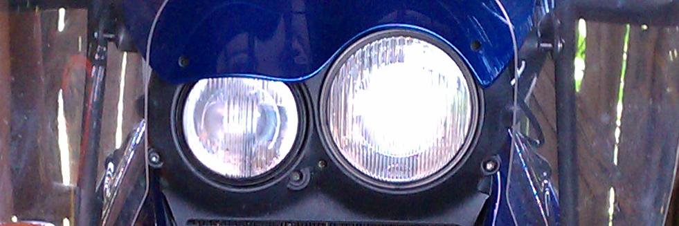 Letter of Marque Pirate banner